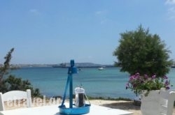 Pantelis Fish Tavern in Athens, Attica, Central Greece