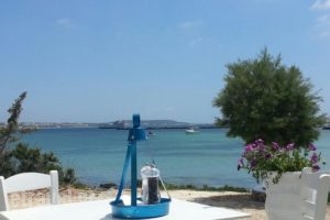 Pantelis Fish Tavern_food_in_Restaurant___Antiparos