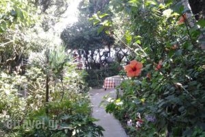 Alonaki Bay_food_in_Restaurant___Chalikounas