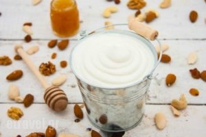 Novagea_food_in_Restaurant___