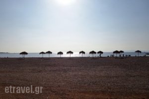 Nikolas tis Schinoussas_food_in_Restaurant___Glifada