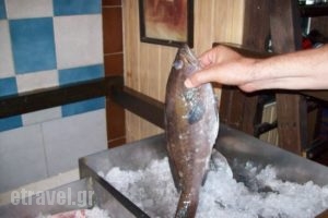O Kapetanios_food_in_Restaurant___Pireas