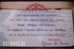 O Zalios in Athens, Attica, Central Greece