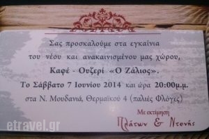 O Zalios_food_in_Restaurant___Nea Moudania