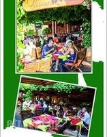 Olive Tree_food_in_Restaurant___Kalamaki