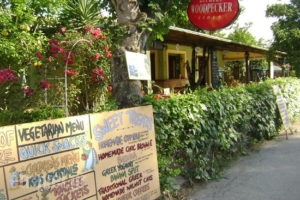 Orchard Restaurant_food_in_Restaurant___Melitsa