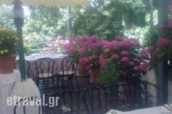 Ortansies in Portaria, Magnesia, Thessaly