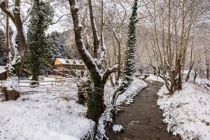 River Art_food_in_Restaurant___Karpenisi