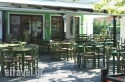 The Big bad Wolf in Athens, Attica, Central Greece