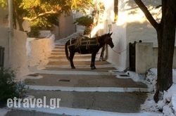 O Varis in Naousa, Paros, Cyclades Islands