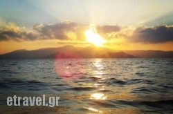 Palatia Agia Anna Beach Restaurant in Naxos Chora, Naxos, Cyclades Islands