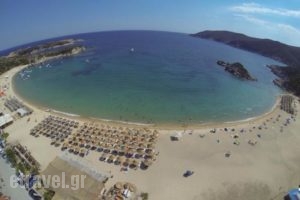 Paralia Cafe-Pizza_food_in_Restaurant___Kalamitsi