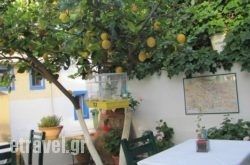 Petrino Garden in Athens, Attica, Central Greece