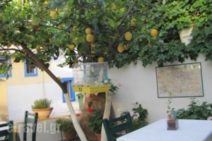 Petrino Garden_food_in_Restaurant___Malia