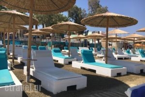 Red Havana_food_in_Restaurant___Agia Marina