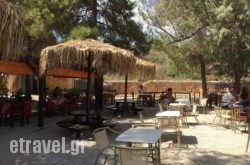 Loutraki Restaurant and Seaside Bar in Akrotiri, Chania, Crete
