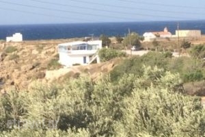 Sunrise Taverna_food_in_Restaurant___Sfakia