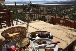 Tavern Mparmpa Giorgis_food_in_Restaurant___Zoodochos Pigi