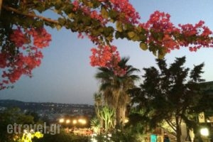 Castelvecchio_food_in_Restaurant___Rethymno