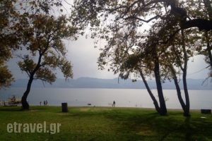 Lake Living_food_in_Restaurant___Dogri