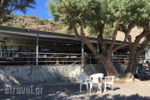 Galini_food_in_Restaurant___