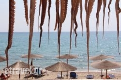 Limani Taverna in  Vouliagmeni, Attica, Central Greece