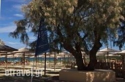 Seacret Beach Bar Restaurant in Planos, Zakinthos, Ionian Islands