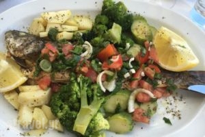 Zakore Restaurant_food_in_Caf? and Bar___