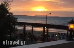 Beachcomber in Paros Chora, Paros, Cyclades Islands