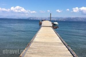 Florida Restaurant & Bar_food_in_Restaurant___Kavos