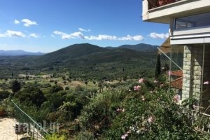 Ithomi Taverna_food_in_Restaurant___Ithomi