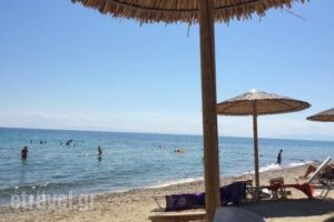 White Season_food_in_Restaurant___Kassandra