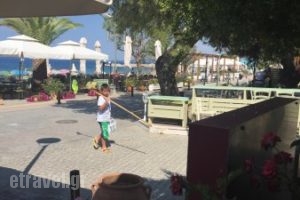 Veggera Cafe Bistro_food_in_Restaurant___ÍéêÞôç