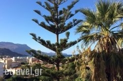 Gramboussa in Athens, Attica, Central Greece