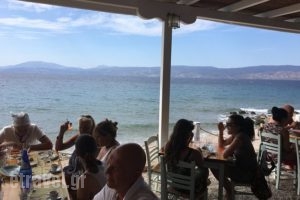 Fourseasonshydra Restaurant_food_in_Restaurant___Idra