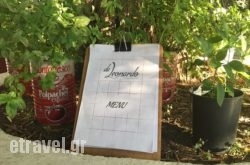 Da Leonardo Cucina Italiana in Polychrono, Halkidiki, Macedonia