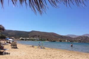 Plaka Beach Restaurant_food_in_Restaurant___Kissamos