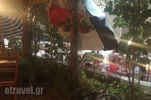 Anna's Organic Shop and Gardencafe_food_in_Restaurant___Naxos