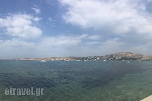 Aeoli_food_in_Restaurant___Paros