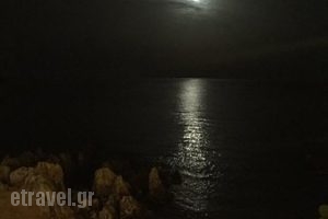 Nobelos Bio Restaurant_food_in_Restaurant___Agios Nikolaos