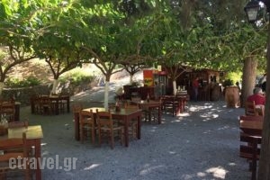 Taverna Gefyra Preveli_food_in_Restaurant___Finikas