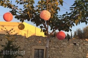 Taverna Kipos Garden_food_in_Restaurant___Timpaki