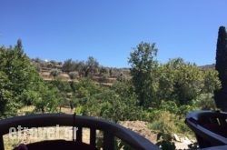 To Vasiliko in Athens, Attica, Central Greece