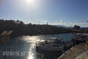 Skipper Cafe Bar_food_in_Caf? and Bar___