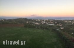 Traditional Restaurant Zervos in Athens, Attica, Central Greece