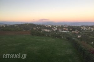 Traditional Restaurant Zervos_food_in_Restaurant___Achillii