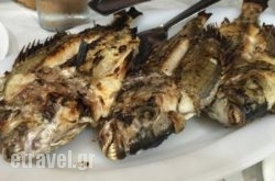 O Mantas in Thessaloniki City, Thessaloniki, Macedonia