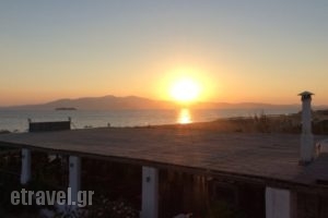 Aronis Taverna_food_in_Restaurant___Plaka